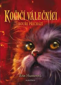 Kočičí válečníci (4) - Bouře přichází