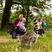 Ráj lemurů v Zoo Ostrava